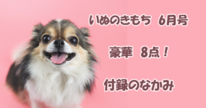 いぬのきもち６月号　豪華８点　付録